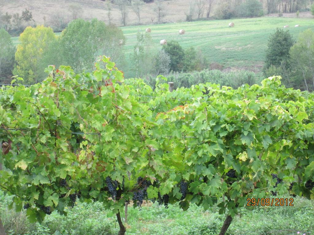 Tenuta Il Tresto Poggibonsi Eksteriør billede